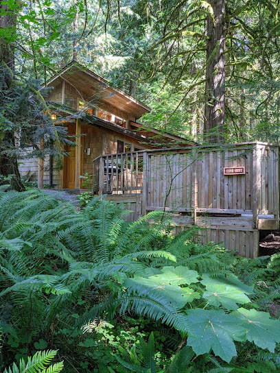 Deep Forest Cabins