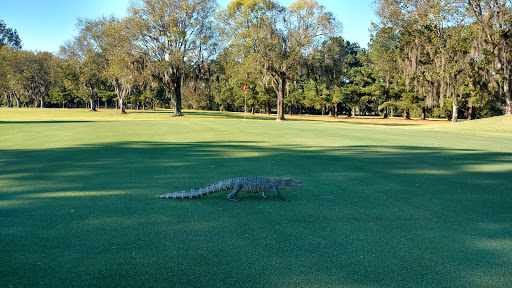 Public Golf Course «Aroostook Golf Course», reviews and photos, 1501 Dozier Rd, Montgomery, AL 36117, USA