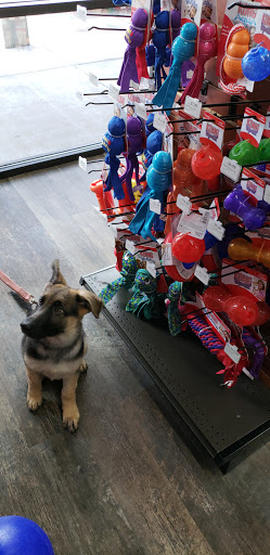 Pet Supply Store «Pet Supermarket», reviews and photos, 14044 Grant Rd Ste 200, Cypress, TX 77429, USA