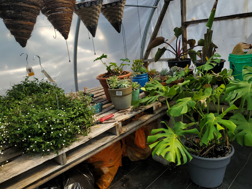 Garden Center «Beachside Gardens & Gifts», reviews and photos, 3725 US-12, Michigan City, IN 46360, USA