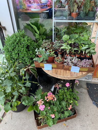 Florist «Studio Arts Florist», reviews and photos, 106-14 71st Ave, Forest Hills, NY 11375, USA