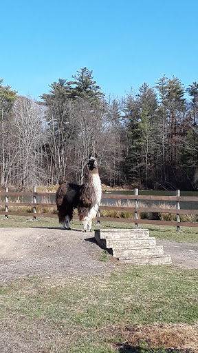 Farm «Dakota Ridge Farm», reviews and photos, 189 E High St, Ballston Spa, NY 12020, USA
