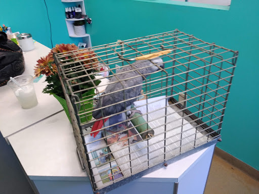 Pet Supply Store «Animal House Grooming & Quality», reviews and photos, 229 W Absecon Blvd, Absecon, NJ 08201, USA