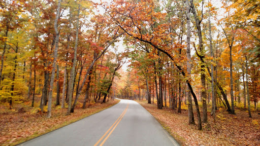 National Park «Kings Mountain National Military Park», reviews and photos, 2625 Park Rd, Blacksburg, SC 29702, USA