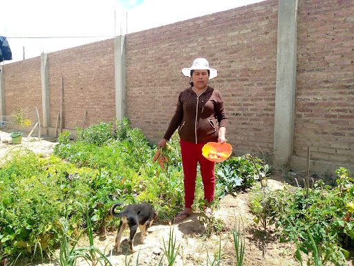 Park «Wyler Aerial Tramway», reviews and photos, 1700 McKinley Ave, El Paso, TX 79930, USA