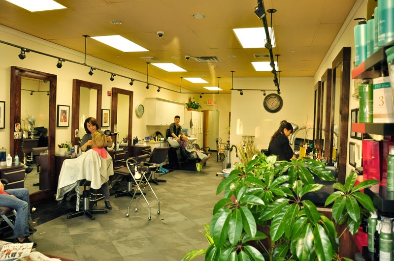 Seoul Beauty Salon