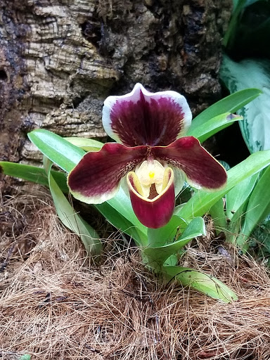 Zoo «Zoomazium», reviews and photos, 601 N 59th St, Seattle, WA 98103, USA