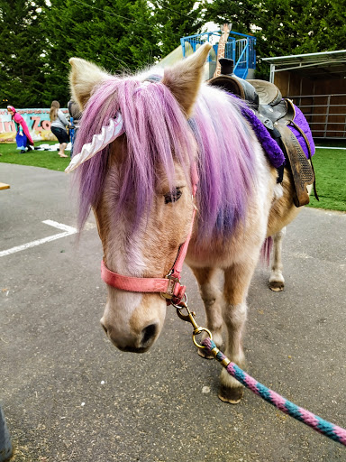 Zoo «Jozee Rooz Indoor Petting Zoo», reviews and photos, 120 138th St S, Tacoma, WA 98444, USA