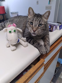 Nawara Brothers Home Store - Photo 5 - Car repair in Grand Rapids, MI, Grand Rapids