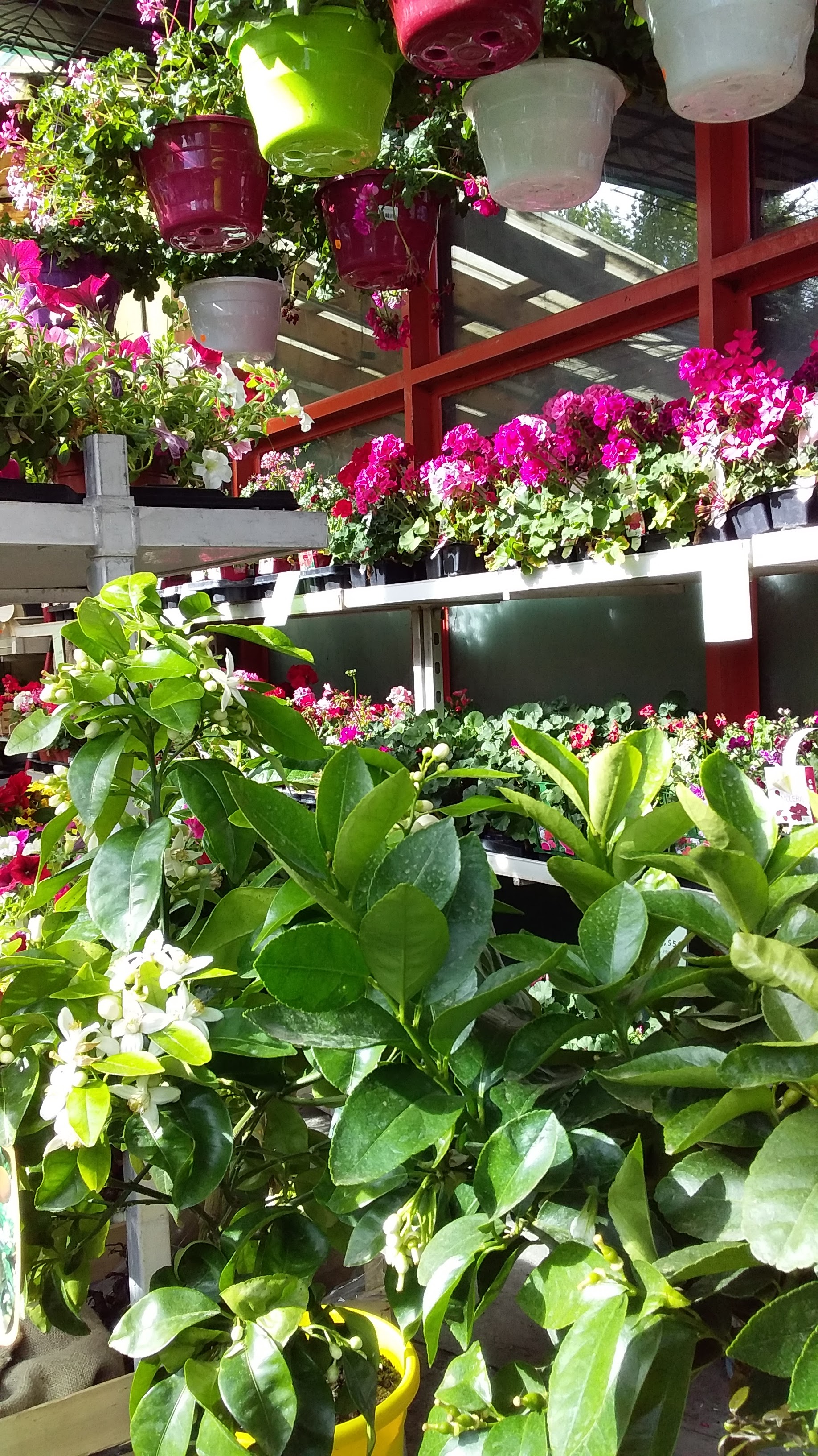 Photo n° 2 de l'avis de Serge.a fait le 12/05/2019 à 07:58