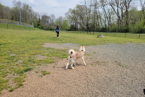 Dog Park at Washington Park