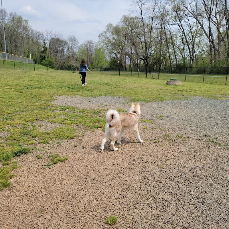 Dog Park at Washington Park