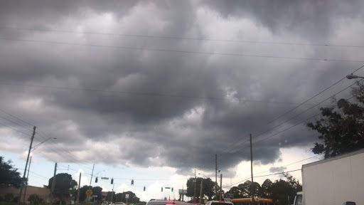 Park «Northeast Park and Paw Place», reviews and photos, 4630 E Bay Dr, Clearwater, FL 33764, USA