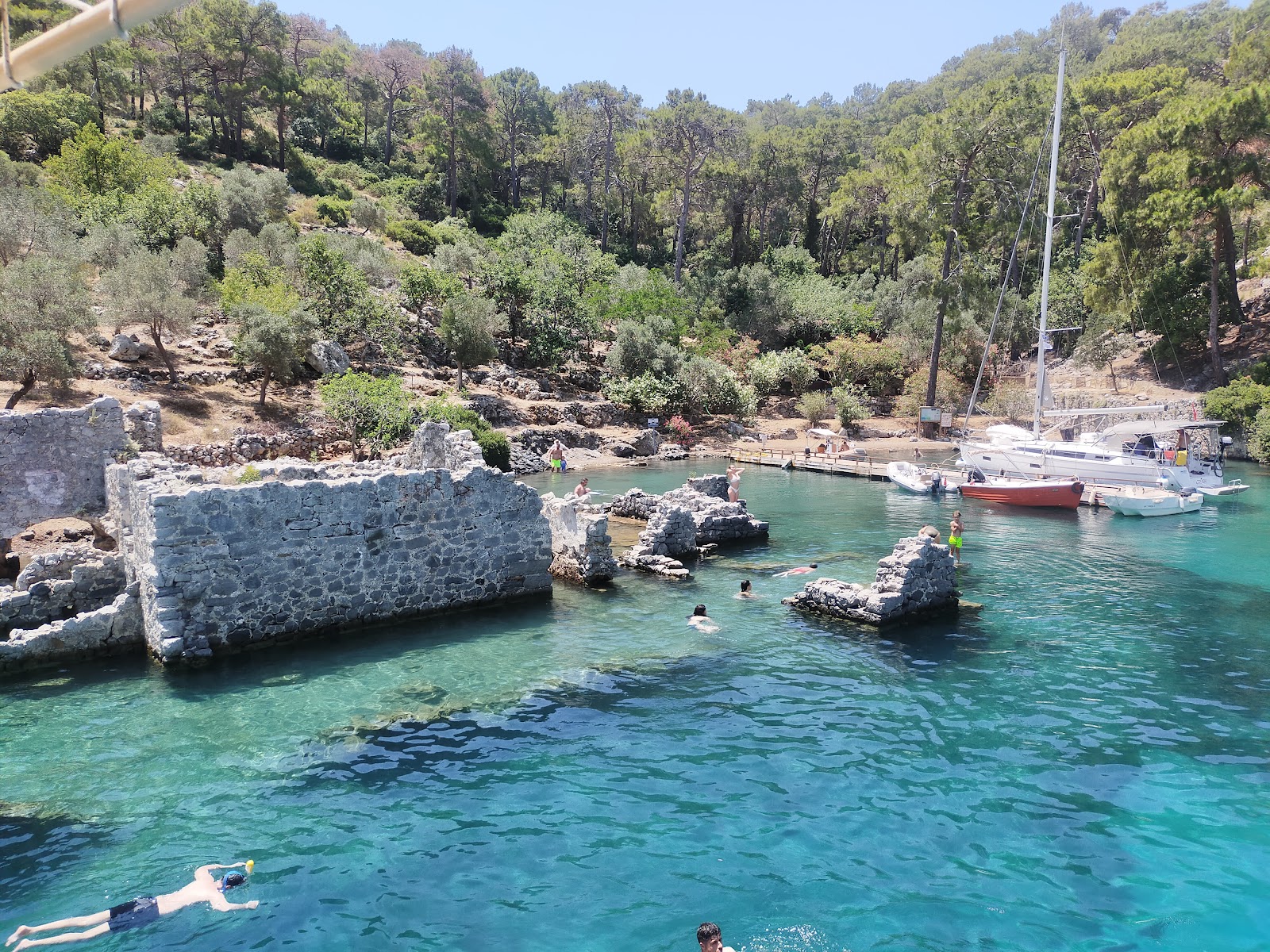 Hamam Koyu'in fotoğrafı vahşi alan
