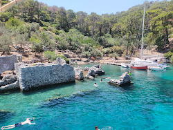 Hamam Koyu'in fotoğrafı vahşi alan
