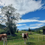 Photo n°3 de l'avis de Maurizio.a fait le 22/08/2022 à 10:31 sur le  Hotel Lanterna Verde à Sexten