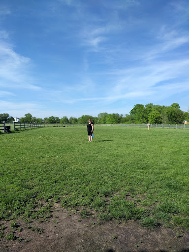 Dog Park «Daisy Dog Park», reviews and photos, 13214 Blakely Dr, Plainfield, IL 60585, USA