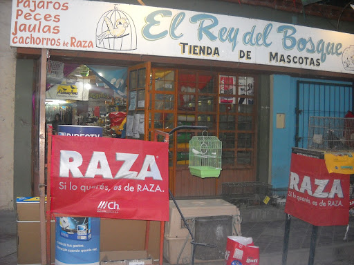 El rey del bosque -Tienda de mascotas