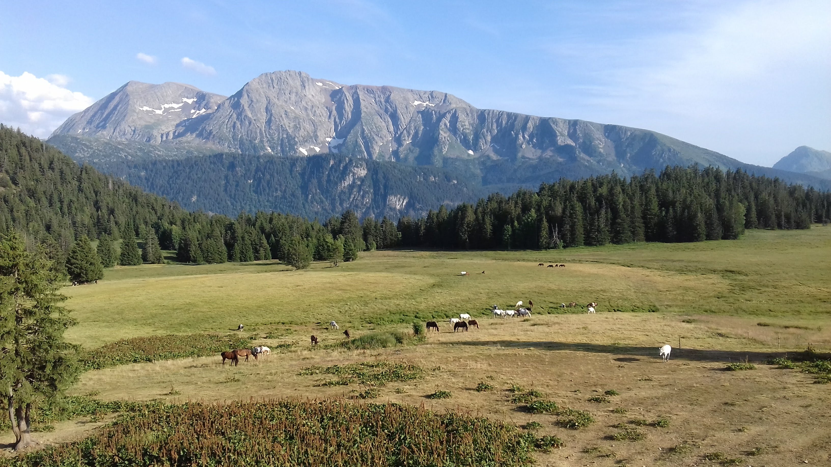 Photo n° 1 de l'avis de Annie.o fait le 04/08/2019 à 06:02