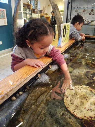 Natural History Museum «George B. Dorr Museum of Natural History», reviews and photos, 105 Eden St, Bar Harbor, ME 04609, USA