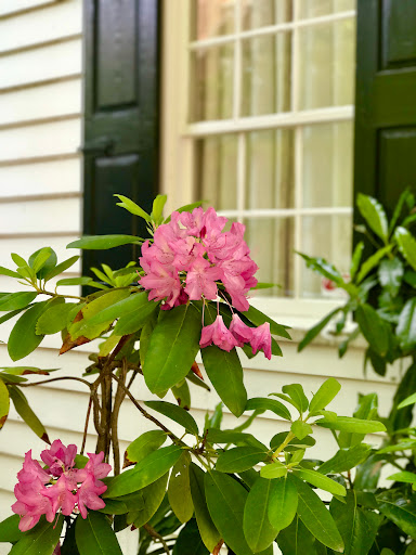 Museum «Old Salem-Visitor Center», reviews and photos, 900 Old Salem Rd, Winston-Salem, NC 27101, USA