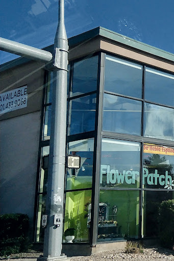 Florist «Flower Patch: West Valley», reviews and photos, 3443 3500 S, West Valley City, UT 84119, USA