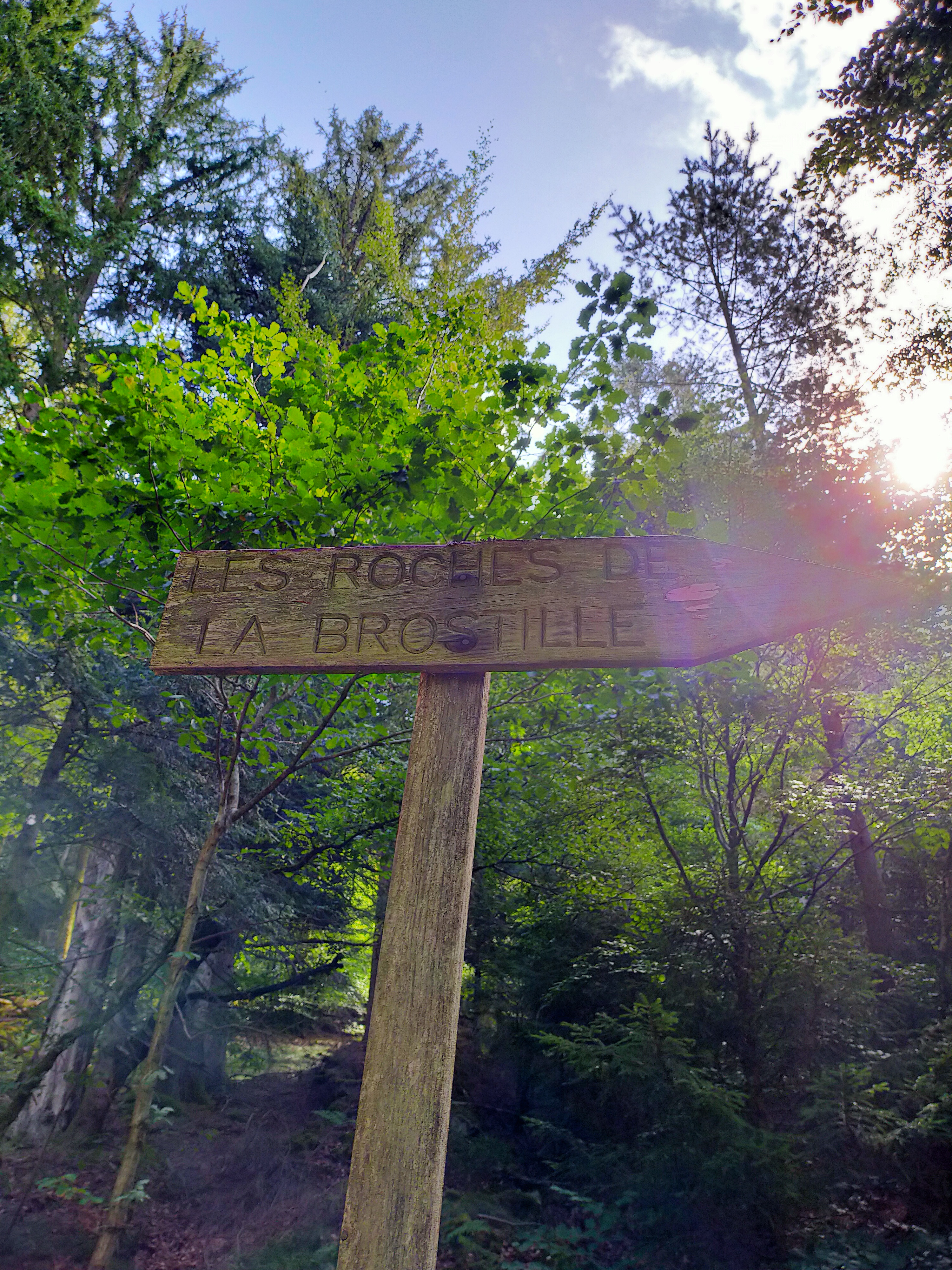 Photo n° 1 de l'avis de Sebastien.e fait le 14/08/2020 à 19:22