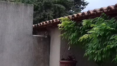 Roomtec à Châteaurenard