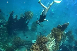 Amed Snorkeling Trip image