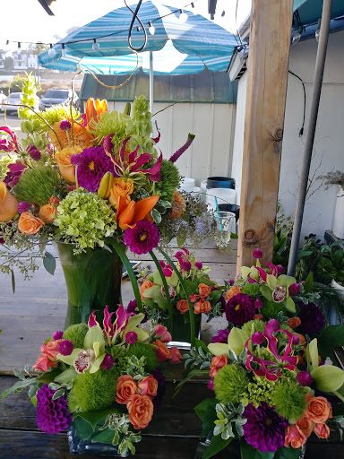 Florist «Flower Frenzy», reviews and photos, 1163 S Coast Hwy 101, Encinitas, CA 92024, USA
