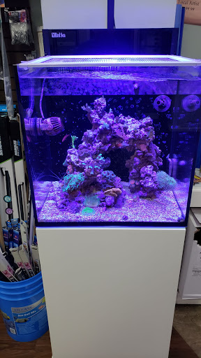 Tropical Fish Store «Pure Reef», reviews and photos, 12900 GA-9, Alpharetta, GA 30004, USA