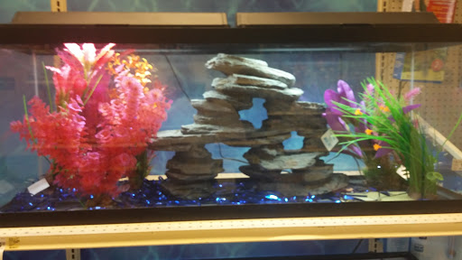 Pet Supply Store «PetSmart», reviews and photos, 8215 Laguna Blvd, Elk Grove, CA 95758, USA