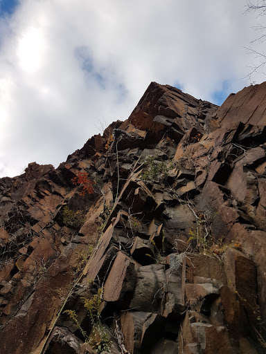 State Park «West Rock Ridge State Park», reviews and photos, 1134 Wintergreen Ave, New Haven, CT 06514, USA