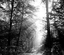 Wanderparkplatz Beyenburger Stausee photo