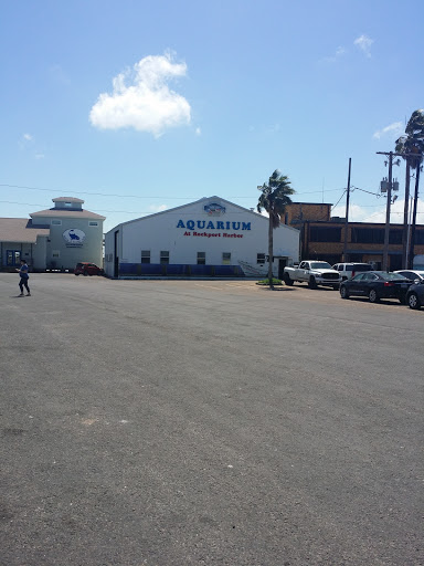 Aquarium «The Aquarium at Rockport Harbor, Inc.», reviews and photos, 706 Navigation Cir, Rockport, TX 78382, USA