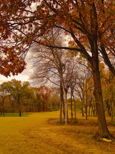 Park «Hoblitzelle Park», reviews and photos, 7500 Red River Dr, Plano, TX 75025, USA