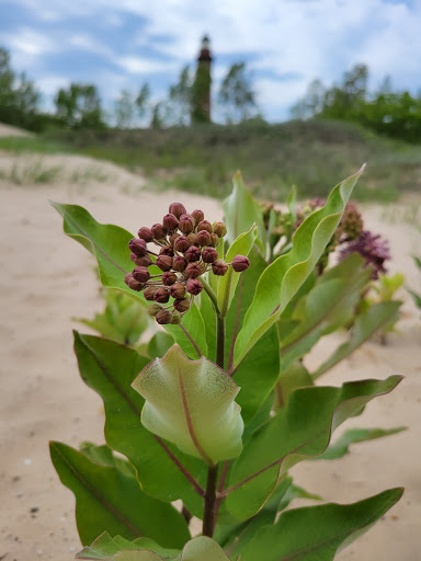 Lighthouse «Little Sable Point Lighthouse», reviews and photos