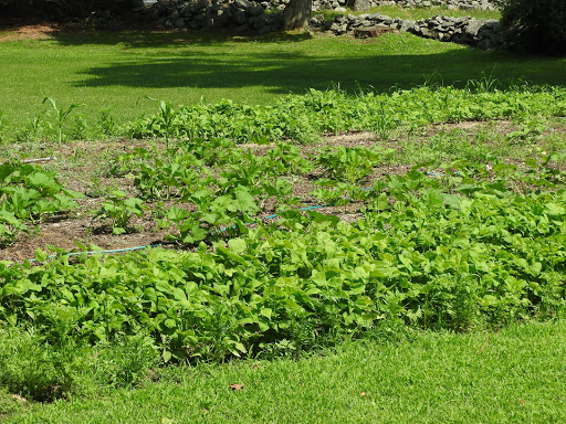 Museum «The Old Manse», reviews and photos, 269 Monument St, Concord, MA 01742, USA