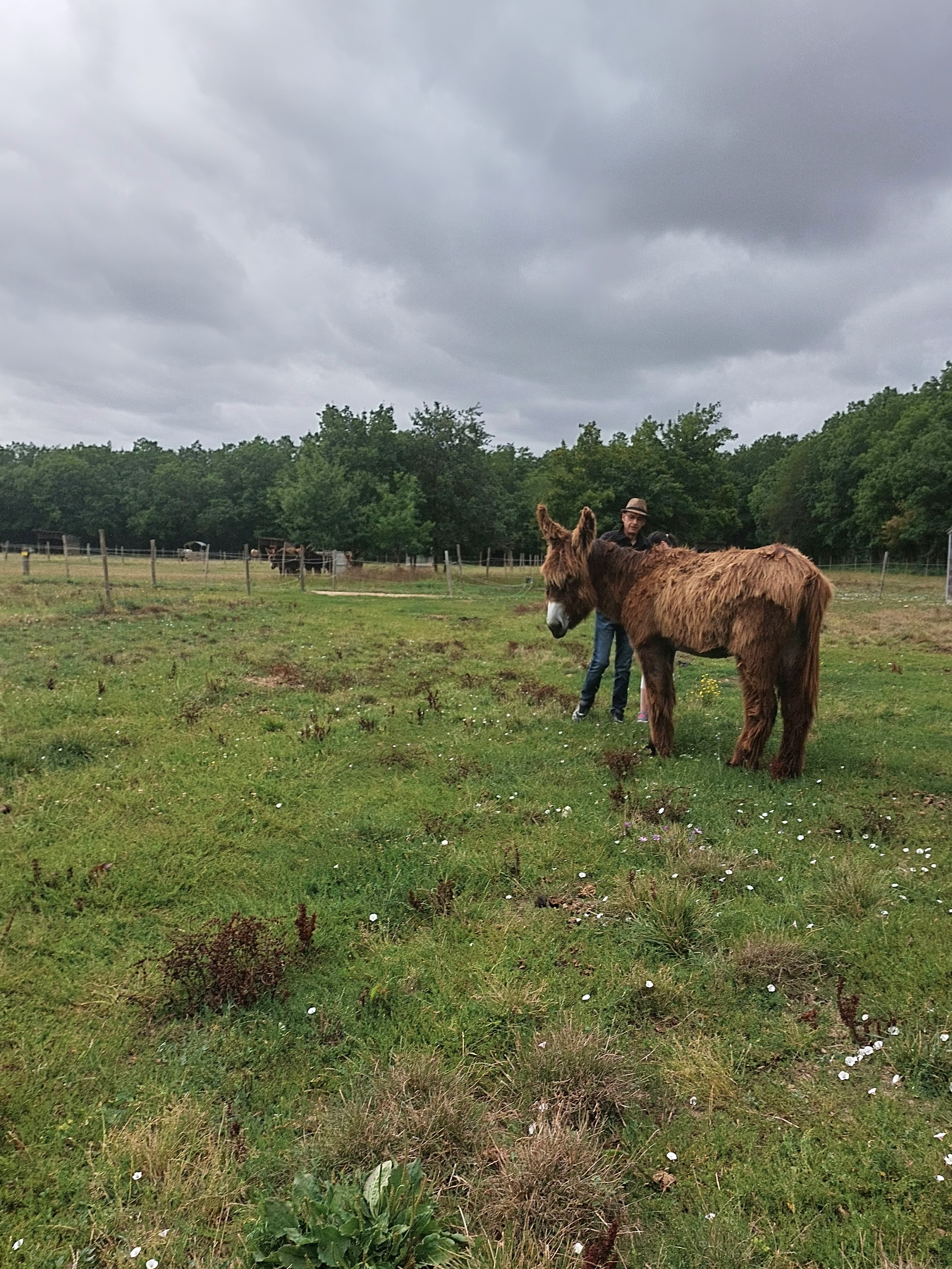 Photo n° 2 de l'avis de Isabelle.o fait le 16/07/2023 à 19:00
