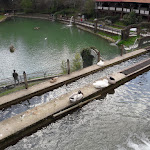 Photo n°8 de l'avis de Andrea.o fait le 02/04/2018 à 14:18 sur le  Parco Laghi dei Reali à Tivoli