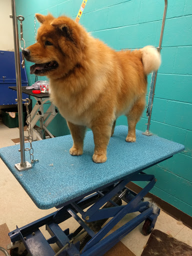 Pet Supply Store «Bubbles2biscuits», reviews and photos, 21897 S Diamond Lake Rd, Rogers, MN 55374, USA