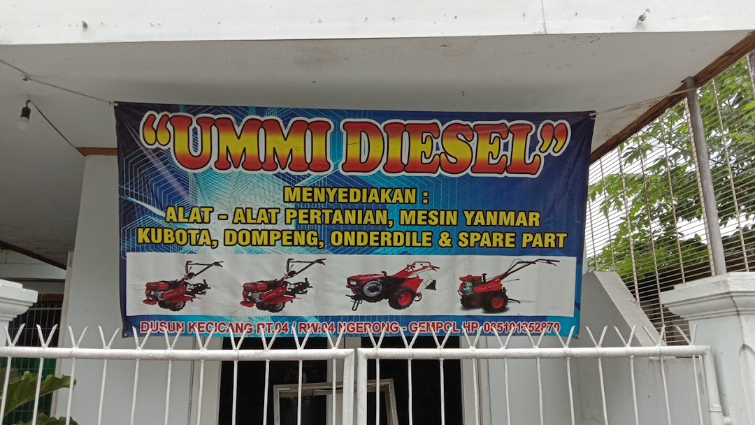 Ummi Diesel