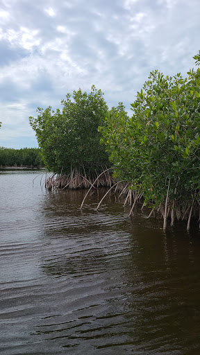 Boat Tour Agency «Everglades Excursions», reviews and photos, 1010 6th Ave S #1, Naples, FL 34102, USA