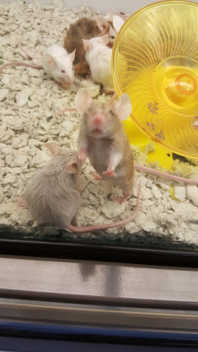 Pet Supply Store «Petco Animal Supplies», reviews and photos, 2250 Petrie Ln #518, Lanham, MD 20706, USA