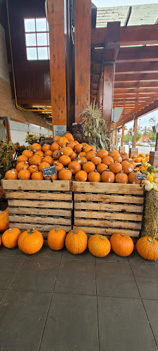 Grocery Store «Haggen Food & Pharmacy», reviews and photos, 1406 Lake Tapps Pkwy E, Auburn, WA 98092, USA