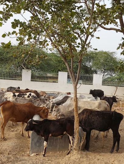 Devashraya Animal Hospital - Tigaon Rd, near stadium, Faridabad, Haryana,  IN - Zaubee