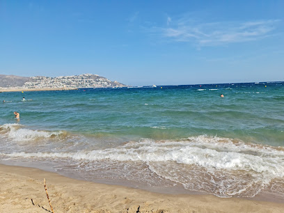 Descubre las mejores playas para perros en la Costa Brava