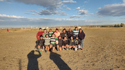 Maca Tobiano Rugby Club
