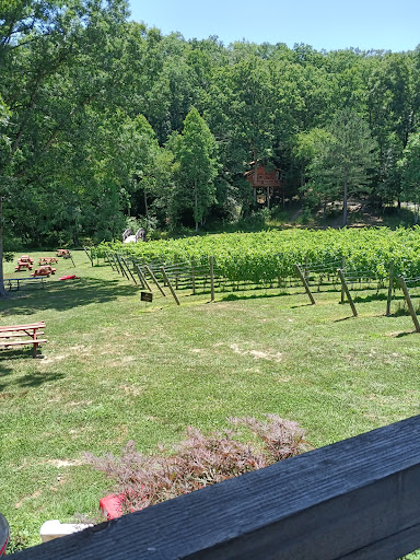 Vineyard «Cavender Creek Vineyards», reviews and photos, 3610 Cavender Creek Rd, Dahlonega, GA 30533, USA