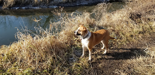 Park «Mather Woods Forest Preserve», reviews and photos, 25032 W Renwick Rd, Plainfield, IL 60544, USA